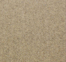 Ковролин Jacaranda Carpets Bilpar Wheat фото 1 | FLOORDEALER