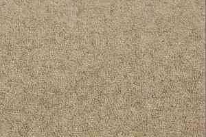 Ковролин Jacaranda Carpets Bilpar Wheat фото  | FLOORDEALER