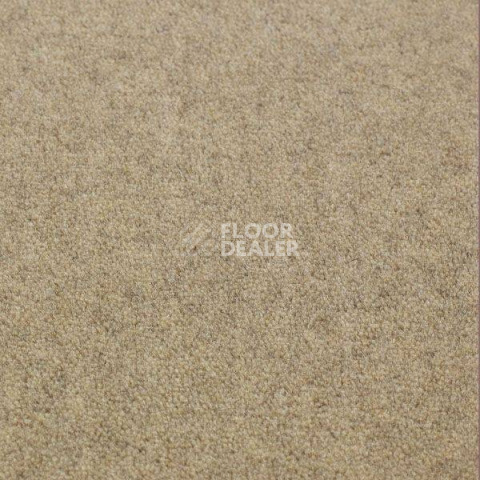 Ковролин Jacaranda Carpets Bilpar Wheat фото 1 | FLOORDEALER