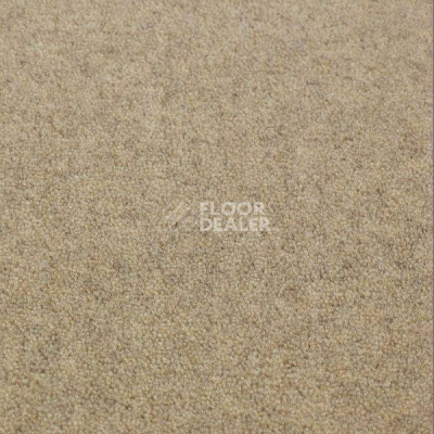 Ковролин Jacaranda Carpets Bilpar Wheat фото 1 | FLOORDEALER