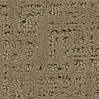 Ковролин Balsan Tao 630 фото 1 | FLOORDEALER