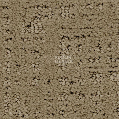 Ковролин Balsan Tao 630 фото 1 | FLOORDEALER