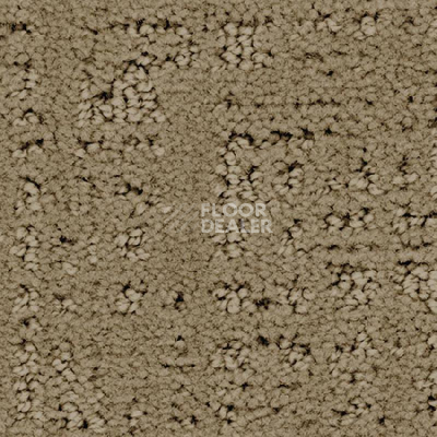Ковролин Balsan Tao 630 фото 1 | FLOORDEALER