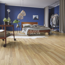 Kronotex Dynamic Plus d2304 Дуб Ахад фото 4 | FLOORDEALER