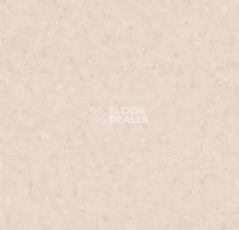 Линолеум Forbo Sphera Element 50072 light peach фото 1 | FLOORDEALER