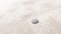Vorwerk Superior 1067 Mira Vorwerk 6c74 фото 1 | FLOORDEALER