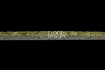 Forbo Flotex Colour Canyon 50*50 t 545027 Canyon Kelp фото 4 | FLOORDEALER