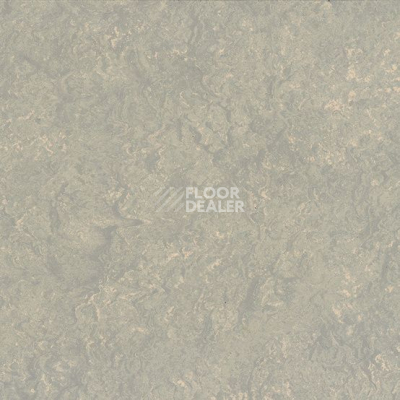 Линолеум Marmorette DLW  2mm 0253 Pebble Grey фото 1 | FLOORDEALER