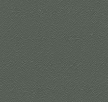 Линолеум Gerflor Recreation 30 Wood 0778_Anthracite фото 1 | FLOORDEALER