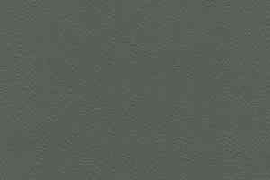 Линолеум Gerflor Recreation 30 Wood 0778_Anthracite фото  | FLOORDEALER