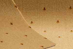 Ковролин Нева Тафт Pulman 170 фото  | FLOORDEALER