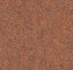 Ковролин Forbo Forte 96006 фото 1 | FLOORDEALER