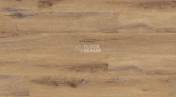 Кварцвиниловые полы Creation 55 0850_Cedar_Brown фото 1 | FLOORDEALER