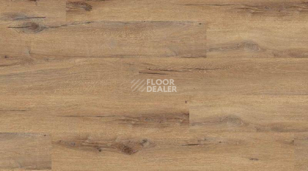 Кварцвиниловые полы Creation 55 0850_Cedar_Brown фото 1 | FLOORDEALER