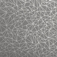 Taralay Initial Compact (Plain & allover look) 0973 Spider Alu фото 1 | FLOORDEALER