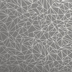 Линолеум Taralay Initial Compact (Plain & allover look) 0973 Spider Alu фото 1 | FLOORDEALER