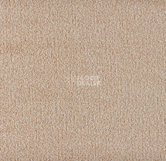 Ковролин Big Sense Hightlights 474 фото 1 | FLOORDEALER