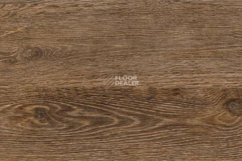 Пробковое покрытие Corkstyle Wood OAK BRUSHED фото 1 | FLOORDEALER