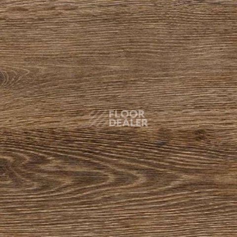 Пробковое покрытие Wood OAK BRUSHED фото 1 | FLOORDEALER