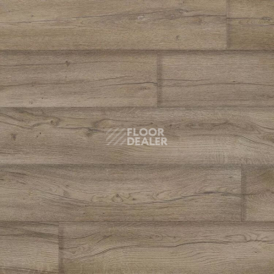 Линолеум Novoflor Extra Mars 2420-53 фото 1 | FLOORDEALER