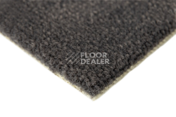 Balsan Les Best S 992 фото 4 | FLOORDEALER
