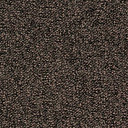 Ковролин Desso Pallas-Brlm 2922  | FLOORDEALER