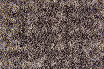 Flotex metro planks p 946009 Metro Pepper фото 2 | FLOORDEALER