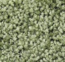 Ковролин Big Sunset 225 фото 1 | FLOORDEALER