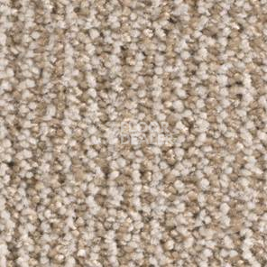 Ковролин Balsan Delice Delice 720 фото 1 | FLOORDEALER