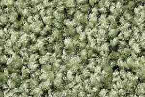 Ковролин Big Sunset 225 фото  | FLOORDEALER