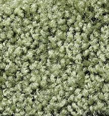 Big Sunset 225 фото 1 | FLOORDEALER