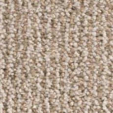 Ковролин Balsan Delice Delice 720 фото 1 | FLOORDEALER