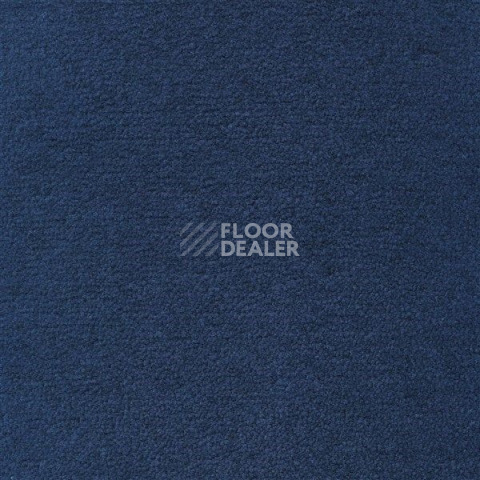 Ковролин Sintelon Eden 47830 фото 1 | FLOORDEALER