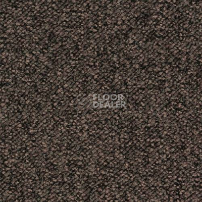 Ковролин Desso Pallas-Brlm 2922 фото 1 | FLOORDEALER