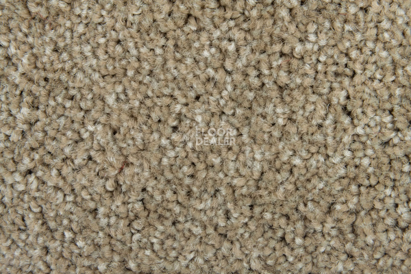 Haima Stepway x 4452 фото 4 | FLOORDEALER