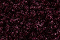 Balsan Serenite 590 фото 4 | FLOORDEALER