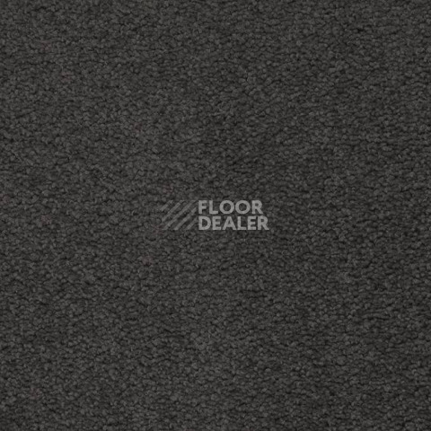 Ковролин Balta ITC Preciosa 296 фото 1 | FLOORDEALER