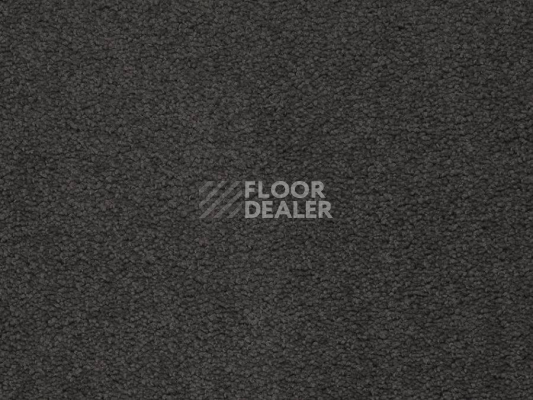 Ковролин Balta ITC Preciosa 296 фото 1 | FLOORDEALER