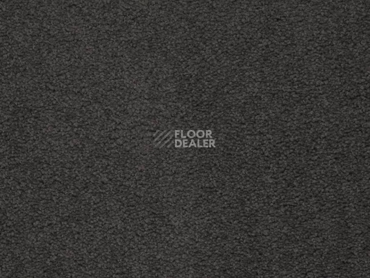 Ковролин Balta ITC Preciosa 296 фото 1 | FLOORDEALER