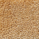 Ковролин Big Caresse 870  | FLOORDEALER