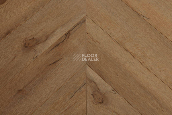 Ламинат Biela Cbm Ostrost 504 A / C  Дуб Липи фото 1 | FLOORDEALER