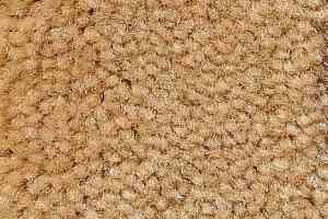 Ковролин Big Caresse 870 фото  | FLOORDEALER