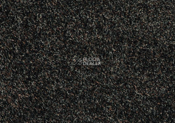 Ковролин Balta Heartbreaker 980 фото 1 | FLOORDEALER