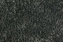 Ковролин AW Invictus Marcus 78 фото 1 | FLOORDEALER