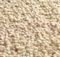 Ковролин Jacaranda Carpets Mayfield Buttermilk фото 1 | FLOORDEALER