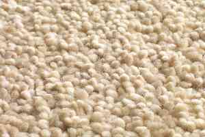 Ковролин Jacaranda Carpets Mayfield Buttermilk фото  | FLOORDEALER