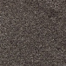 Ковролин AW Surprise 44 фото 1 | FLOORDEALER