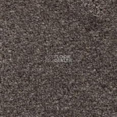 Ковролин AW Surprise 44 фото 1 | FLOORDEALER