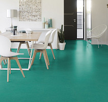 Taralay Initial Compact (Plain & allover look) 0965 Miami Foret фото 2 | FLOORDEALER