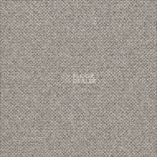 Ковровая плитка Desso Solid ac 73 1321 v фото 1 | FLOORDEALER